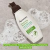 Aveeno Clear Complexion Foaming Oil-Free Facial Cleanser with Salicylic Acid