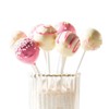 silikomart 99.411.99.0001 Easy Pop pack of 50 Lollipop sticks for