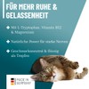 ReaVET Relax Liquid für Katzen 50ml - Beruhigungstropfen I Entspanntes