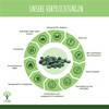 Organic Spirulina - BCAA Iron Vitamin A 65% Protein 17%