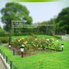 Solar Pathway Lights Waterproof Colorful Lighting Auto On Off Solar