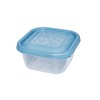 Kigima Mini Freezer Food Storage Container 300 ml Square Set