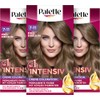 Palette Intensive Cream Colouration 7-11 Cool Dark Blonde (3 x