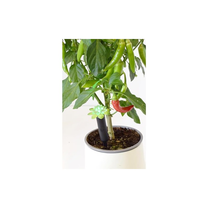 Wicked Waterer Tall Plant Alarm - Inserts 7" into Soil