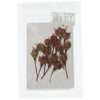 Fukusan Pressed Flower Pack, Wild Rose, Red (Diagonally Pushed), FUK-1022