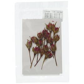 Fukusan Pressed Flower Pack, Wild Rose, Red (Diagonally Pushed), FUK-1022