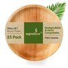 Signature Packaging - Disposable Palm Leaf Plates - Sturdy, Large