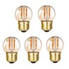Lxcom Lighting Dimmable 1W G40/G14 Edison LED Filament Globe Light
