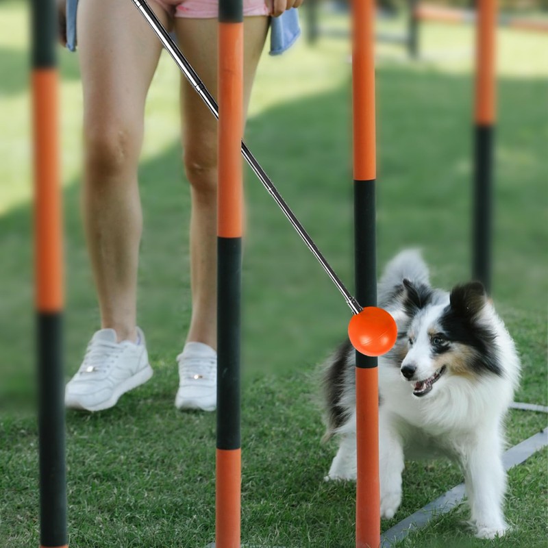 Training Kit - 1 Target Stick, 1 Training Clicker, 1