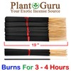 Apple Fantasy Exotic Incense Sticks Jumbo 19 Inch Long -