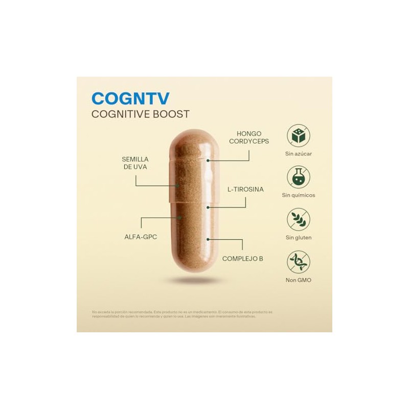 Vitaminas B, L-Tirosina, Coenzima y Hongo Cordyceps VITAL BOTANICS