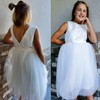Flower Girl Dress Lace Party Dresses Lace Girl Dress Sleeveless