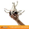 getDigital the Flying Spaghetti Monster Plush Toy with Flexible Appendages