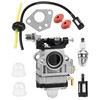 SOSALUK 52cc 49cc 43cc 2 Stroke Carbu Kit with Hose