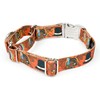 Country Brook Petz - Thanksgiving Tradition Martingale Dog Collar with
