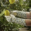 Ladies Sicilian Lemon Gauntlet Gloves