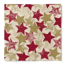 Mank Tissue Napkins 40 x 40 cm | Premium Disposable Napkin | Absorbent | Perfect for Christmas Parties & Advent Celebrations | Christmas Napkins | Pack of 100 | Levi