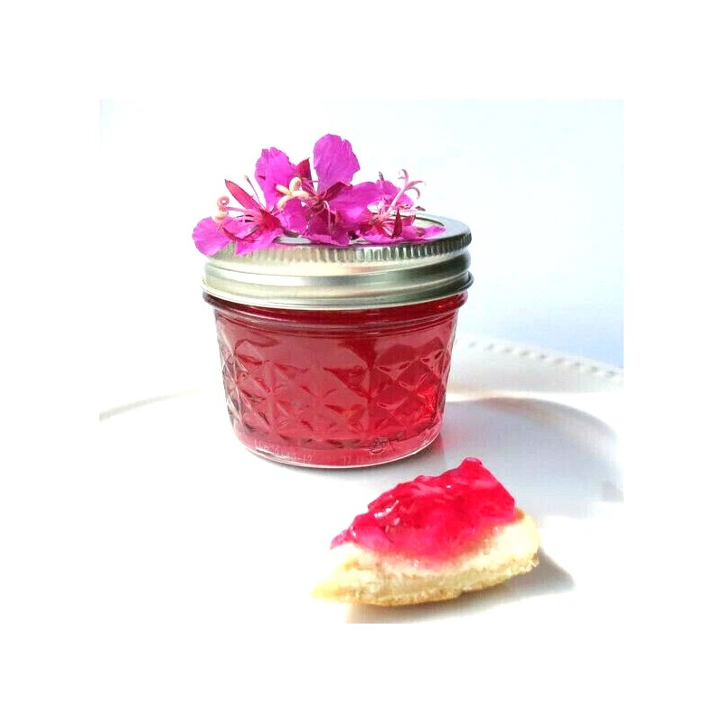 Alaska Fireweed Flower - Chamaenerion angustifolium - 1000+ Seeds -