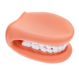 VILLFUL Dental Tooth Model Medical Teaching Demonstration Teeth Model for Brushing Education School Clinic Tool