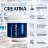 Nls Essentials Creatina Monohidratada Alta Pureza 450g