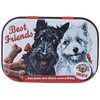 Nostalgic Art 40361138123 Box Mints Best Friends, Steel, Multi-Colour