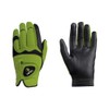 Hirzl Hybrid PLUS Golf Glove (Green/Black, Medium)