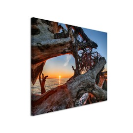 Paul Sinus Art Photo Canvas 90 x 60 cm Nature Photography - Driftwood on the Beach at Sunrise on Canvas Exclusive Wall Picture Modern Photography for Your Wall in Many Sizes