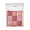 Lebron Blush & Illuminator Palette 002 Smokey Rose Japan Planning