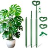 SupKing Telescoping Plant Stakes 37 inch,Adjustable Green Monstera Support Stake