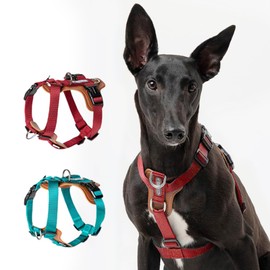 PUPIHOM No-Pull Dog Harness for Small/Medium/Large Dogs-Adjustable Reflective Nylon Harness with PU Padding, Comfortable & Durable Pet Harness for Dog Walking & Training (Red,M)