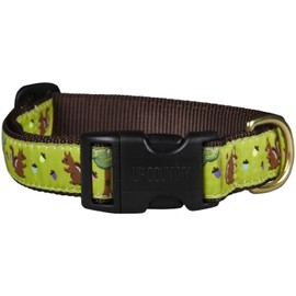 Up Country Nuts Pattern Dog Collar, Medium (12 To 18 Inches) 1 Inch Wide Width