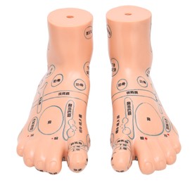 2pcs 19cm / 7.5in Feet Acupoint Model Acupuncture Teaching Aids Supplies Foot Model