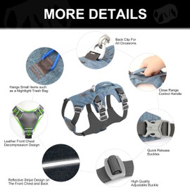 AKAILEA Small Dog Harness Escape Proof Dog Harness with Handle - Reflective Dog Vest, Breathable Soft Full Body Dog Harness for Small Dogs Walking, Training (Blue, S)