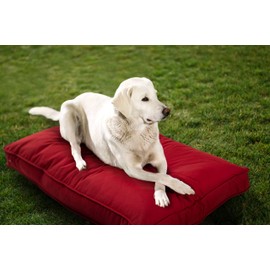 Sunbrella Double Sided Dog Bed for Indoor/Outdoor,Washable Cover & Chew Proof, Pets Mat for Multipurpose, Easy Care & Pet Safe Products (Small, Polyester, Cherry Red, 26”x18”x 3")