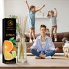 Citrus Reed Diffuser 3.4 Fl Oz (100ml) Room - Fragrance