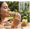 Shots Inmunológicos Cold Pressed Jengibre, Cúrcuma (14 Pack)