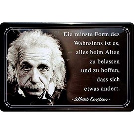 Blechschilder Decorative Metal Sign With Albert Einstein Quote, 20 x 30 CM