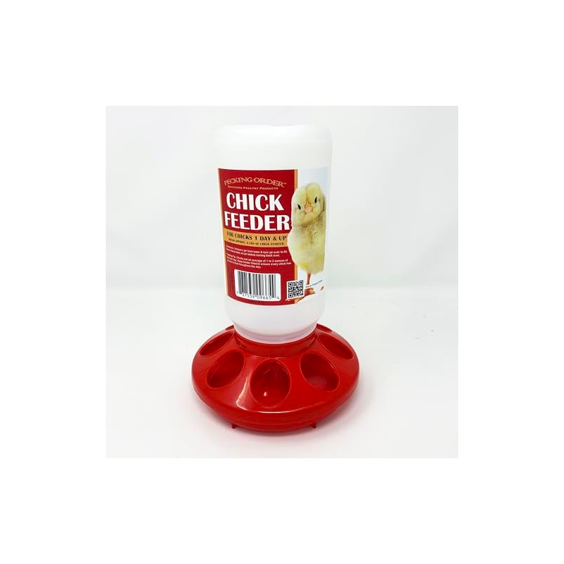 Pecking order Chick Feeder
