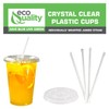 EcoQuality Clear Plastic Disposable Cups with Lids and Straws 50