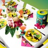 Boland 52437 - Toucan Party Plates - Pack of 10,