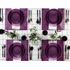 PLASTICPRO 24 Pieces Elegant Plastic Plates for Party Purple with