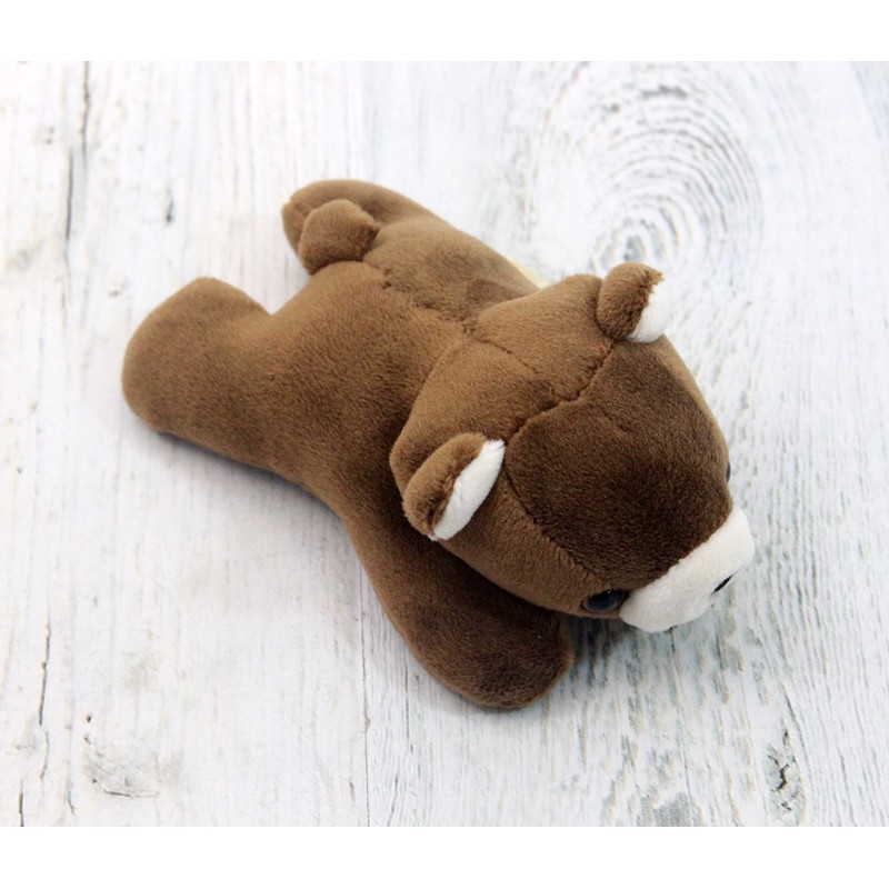 takeoff pokepuni brown bear