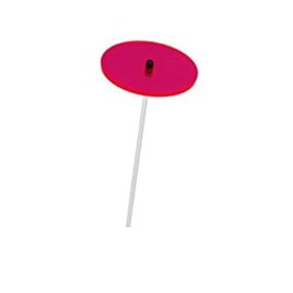 Cazador-del-sol ® - The Original Mini Cazador 1 Piece Sunflower Red Diameter 8 cm Height 25 cm