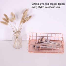 Regun Small Wire Basket, Rose Gold Metal Storage Basket, Desktop Storage Holder for Office, Bedroom, Makeup Desk Organiser, 24.3*16.4*6.5cm(Size: D)