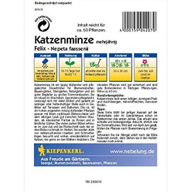 Nepeta fassenii Felix Catnip Blue