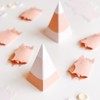 Caja de pirámide, Essentials de Ellen Designer Die, caja de