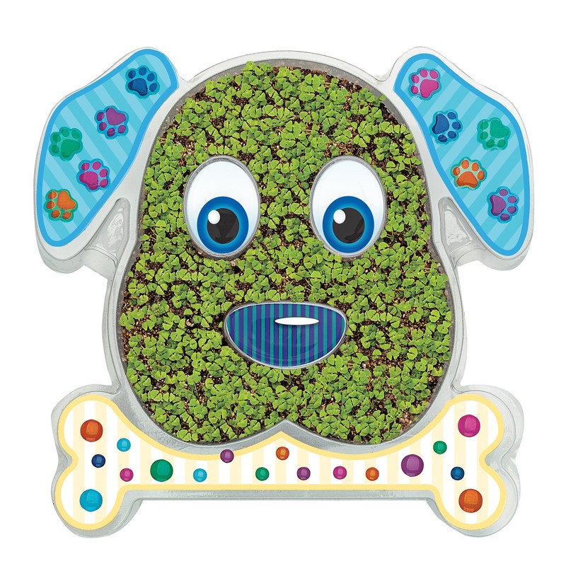 Creativity for Kids 6122 "Grow Puppy Grow Kit