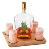 Tequila Decanter With Four Pink Himalayan Salt Shot Glasses Set,
