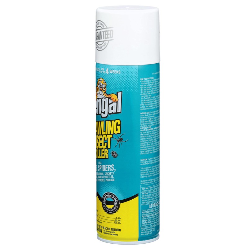 Bengal Crawling Insect Killer, Indoor and Outdoor Aerosol Ant and