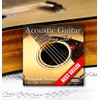 2 SETS! Adagio Professional Acoustic Guitar Strings 10-47 Phosphor Bronze